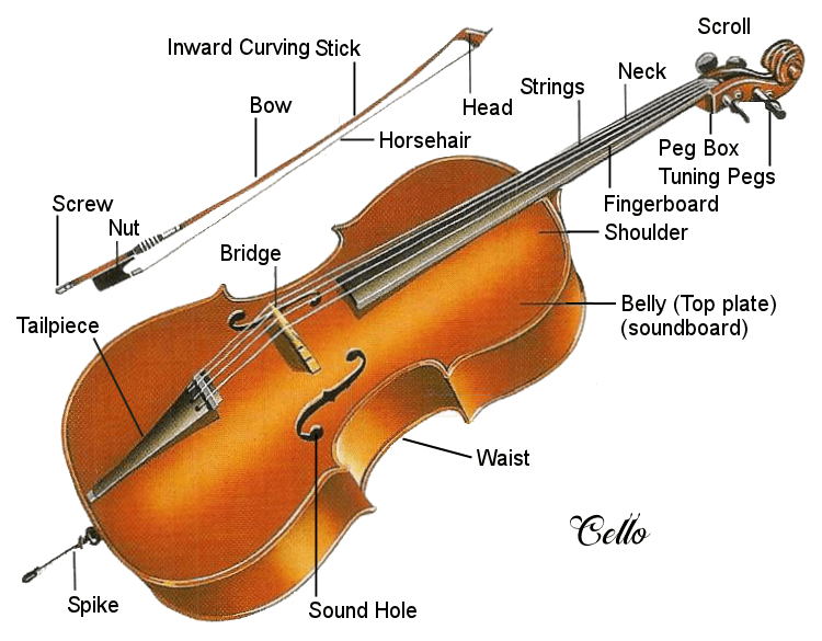 Cello