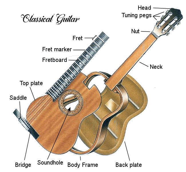 classical-guitar-diagram