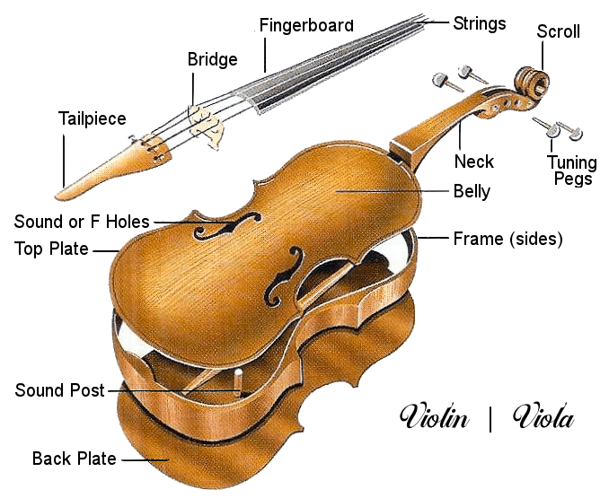 violin-viola