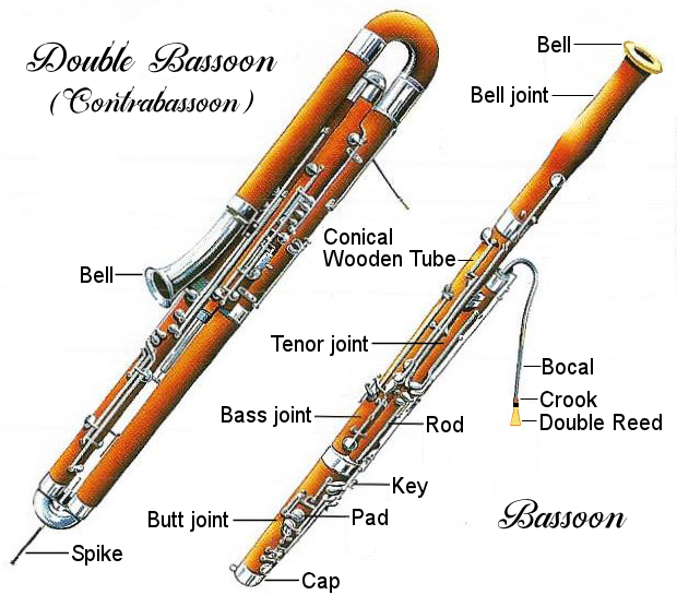 bassoon-diaagram