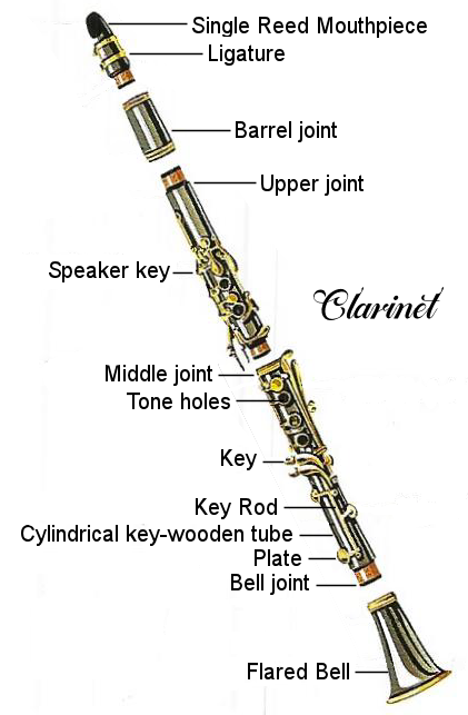 clarinet-diagram