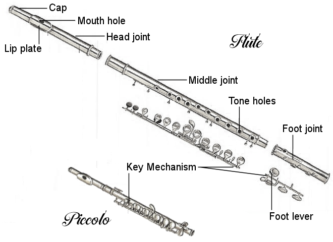 flute-diagram