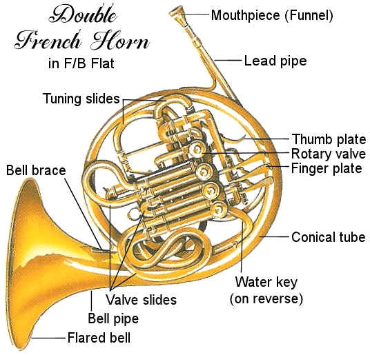 French horn