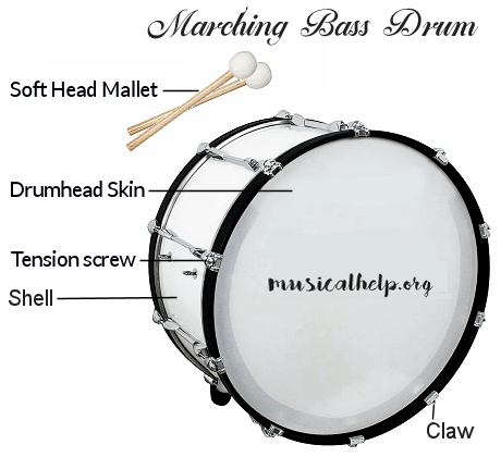 Bass Drum – musicalhelp.org