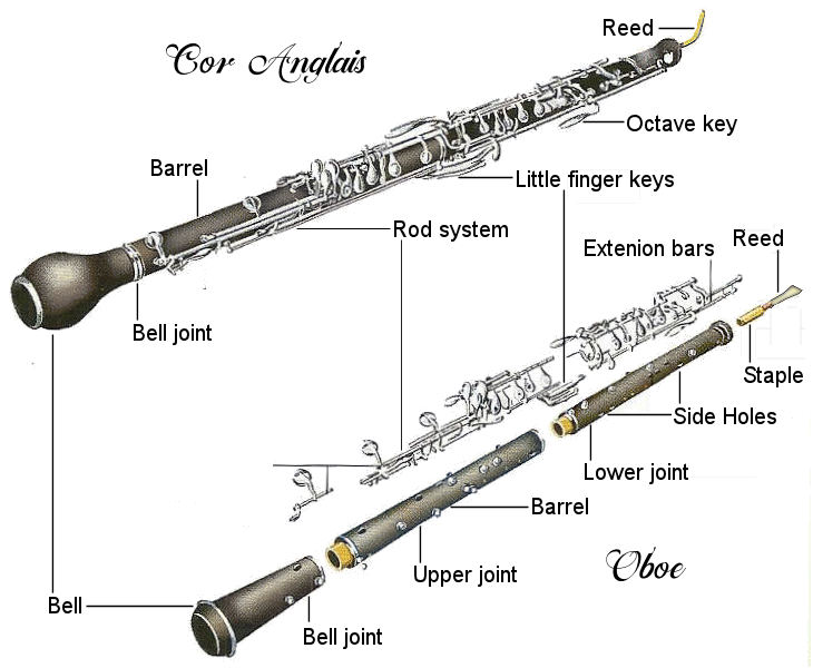 oboe-cor-anglais-diagram