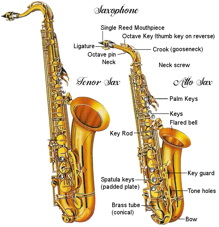 saxophone parts