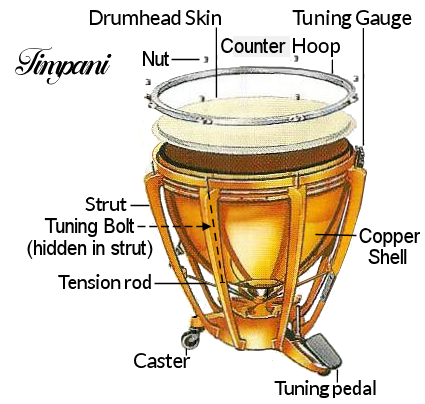 timpani-diagram